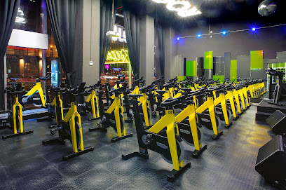 Rock the Cycle Cycle Studio