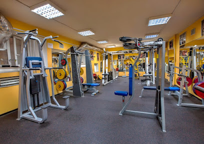 Sunny Gym