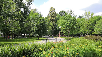 Bauman Garden