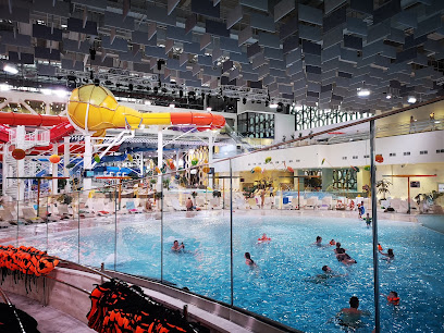 Luzhniki Aqua Complex