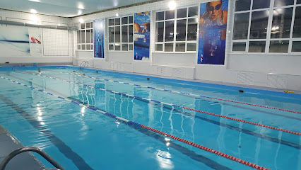 Fitness Swim Club
